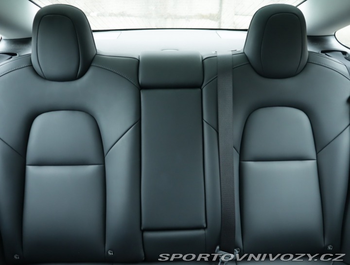 Tesla Model 3 Std Range Plus LFP 2020