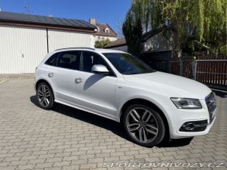 Audi SQ5  2015