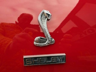 Ford GT Shelby GT 350 1970
