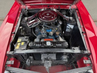 Ford GT Shelby GT 350 1970