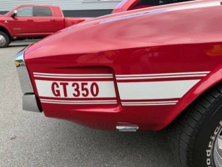 Ford GT Shelby GT 350 1970