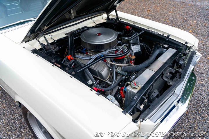 Ford Mustang Shelby GT350 1966