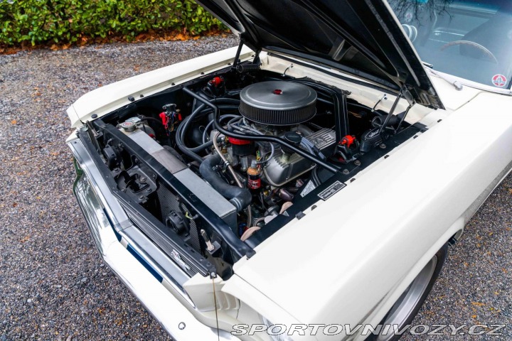Ford Mustang Shelby GT350 1966