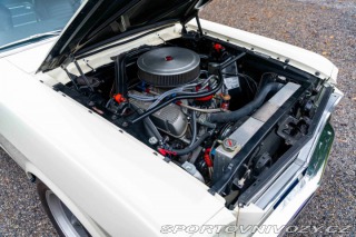 Ford Mustang Shelby GT350 1966