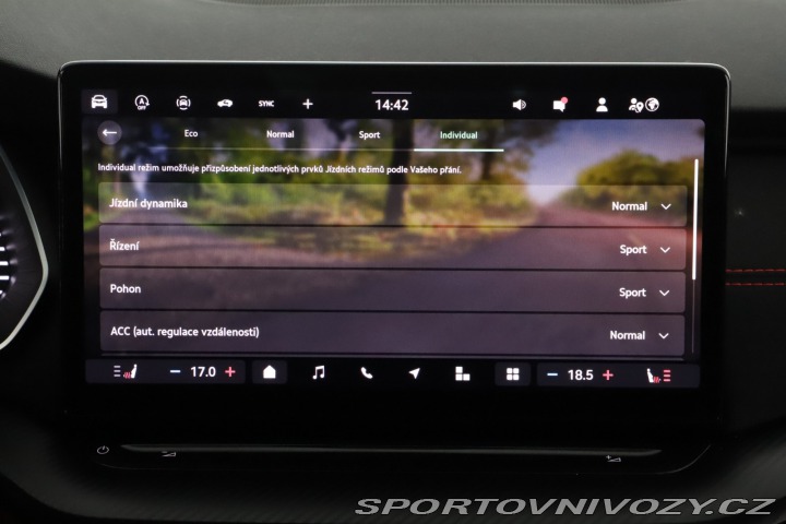 Škoda Octavia RS RS RS 2.0 TSI 2025