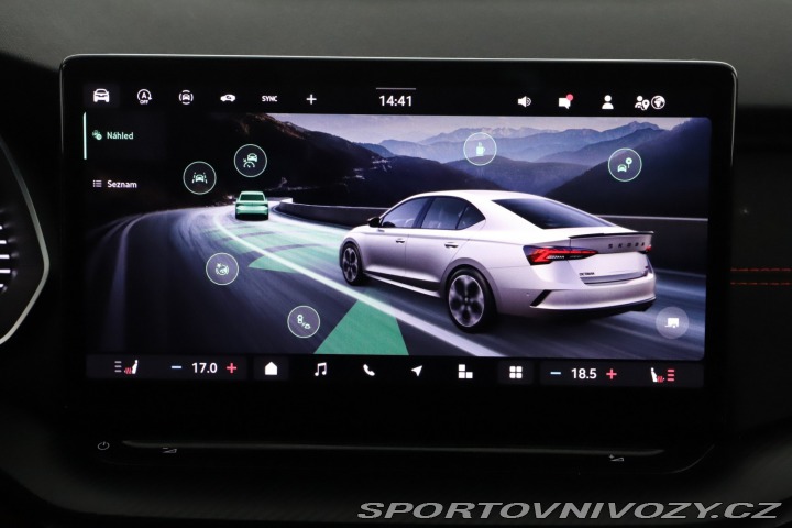 Škoda Octavia RS RS RS 2.0 TSI 2025