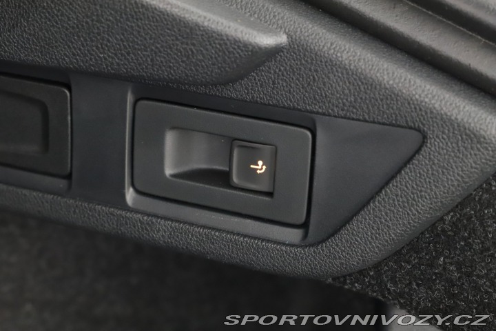 Škoda Octavia RS RS RS 2.0 TSI 2025