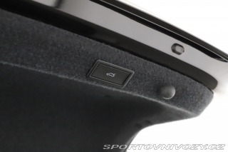 Škoda Octavia RS RS RS 2.0 TSI 2025