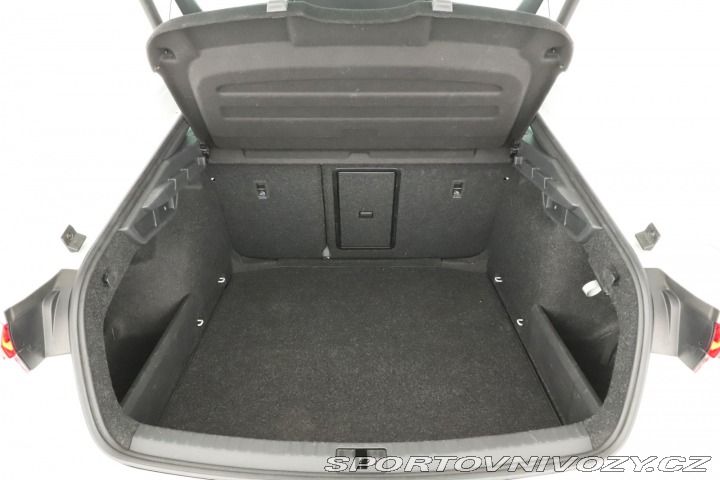 Škoda Octavia RS RS RS 2.0 TSI 2024