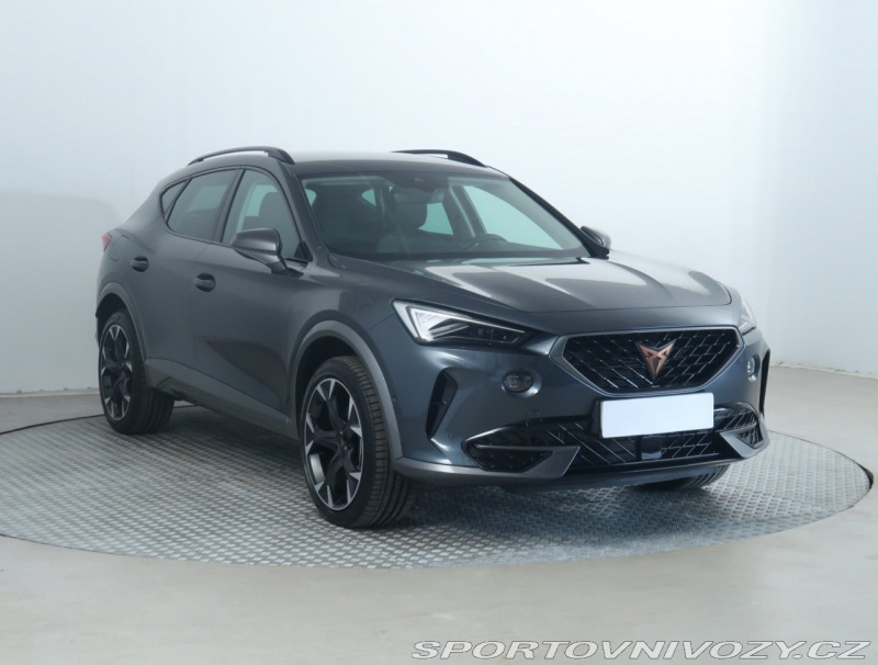 Cupra Formentor 2.0 TDI 4Drive
