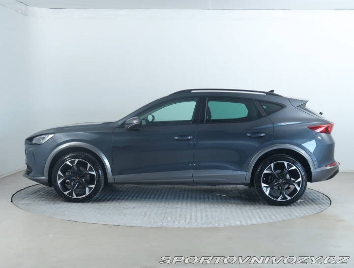 Cupra Formentor 2.0 TDI 4Drive 2024