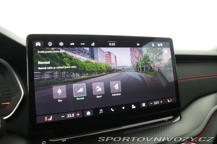 Škoda Octavia RS RS RS 2.0 TSI 2025