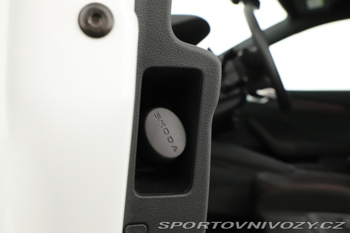 Škoda Octavia RS RS RS 2.0 TSI 2024