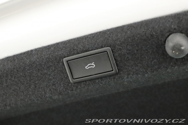 Škoda Octavia RS RS RS 2.0 TSI 2024