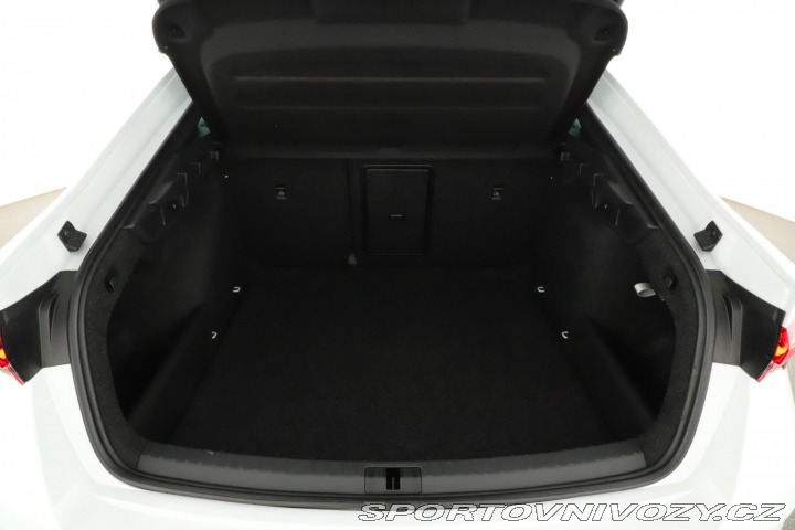 Škoda Octavia RS RS RS 2.0 TSI 2024