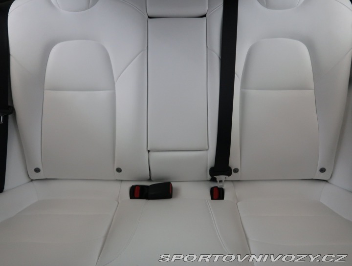 Tesla Model 3 Std Range Plus LFP 2020