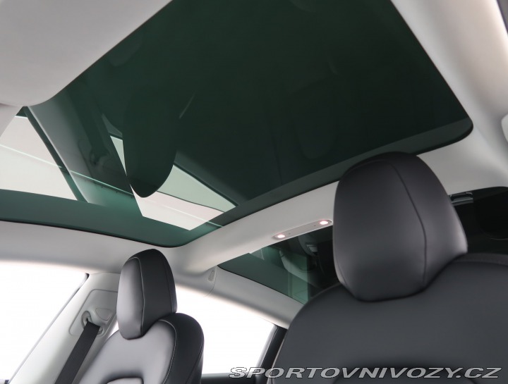 Tesla Model 3 Performance 78kWh 2019