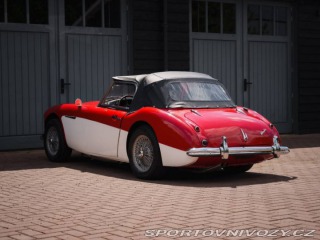 Ostatní značky Ostatní modely Austin Healey 3000 MK1 BT7 1800