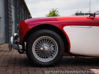 Ostatní značky Ostatní modely Austin Healey 3000 MK1 BT7 1800