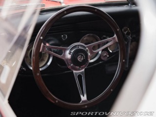 Ostatní značky Ostatní modely Austin Healey 3000 MK1 BT7 1800