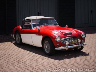 Ostatní značky Ostatní modely Austin Healey 3000 MK1 BT7 1800