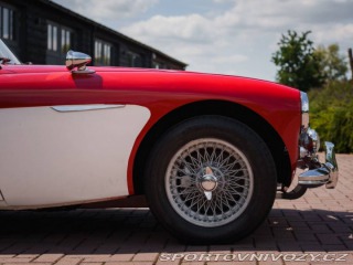 Ostatní značky Ostatní modely Austin Healey 3000 MK1 BT7 1800