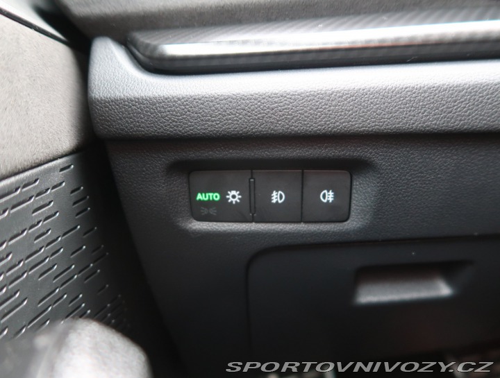 Škoda Octavia RS RS RS 2.0 TDI 4x4 2024