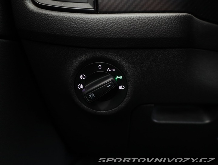 Škoda Kodiaq RS RS RS 2.0 TDI 2019