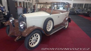 Ostatní značky Ostatní modely Berliet Vig Cabriolet 1928