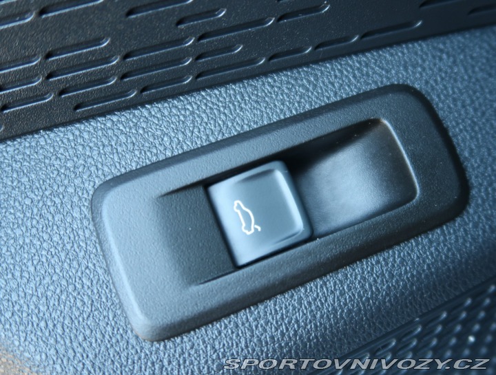 Škoda Octavia RS RS RS 2.0 TSI 2023