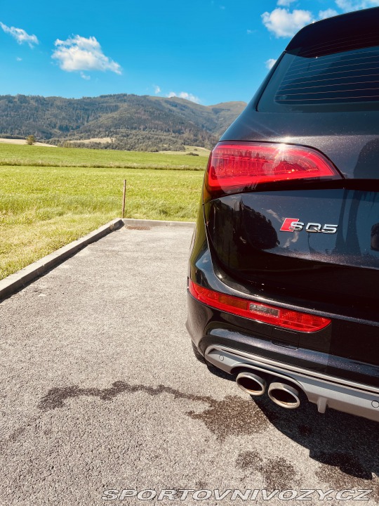 Audi SQ5  2014