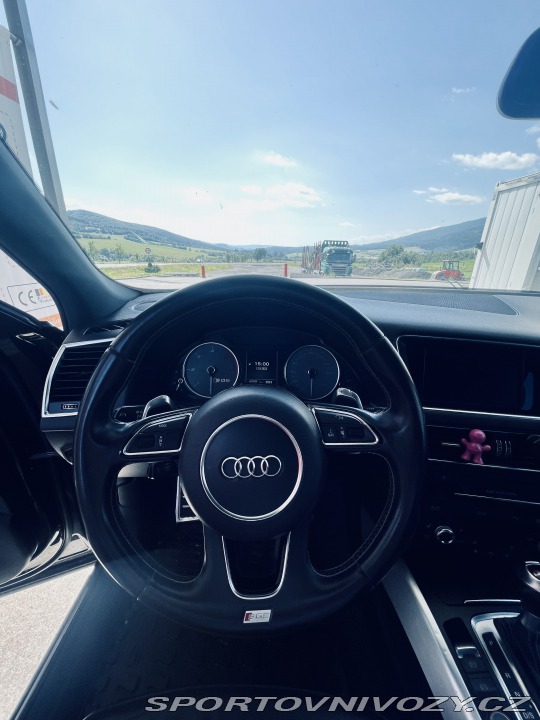 Audi SQ5  2014