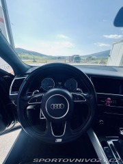 Audi SQ5  2014