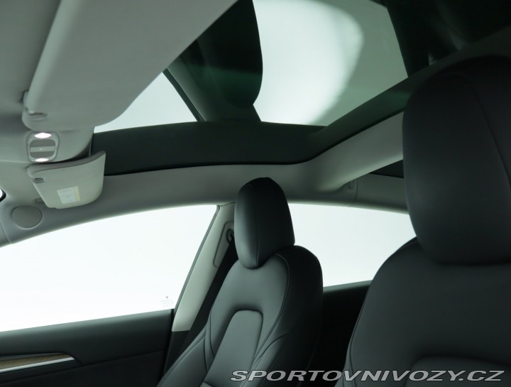 Tesla Model 3 Std Range Plus LFP 2021