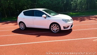 Seat Ibiza 6J
