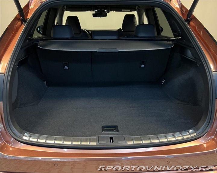 Lexus Ostatní modely RX 500h 2,4 HEV F SPORT PLUS 2024