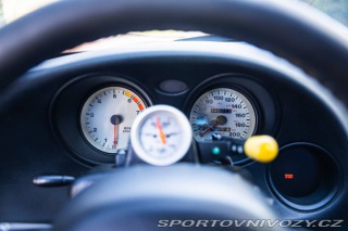 Dodge Viper TNT King Snake 1998