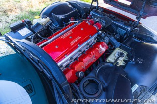 Dodge Viper TNT King Snake 1998