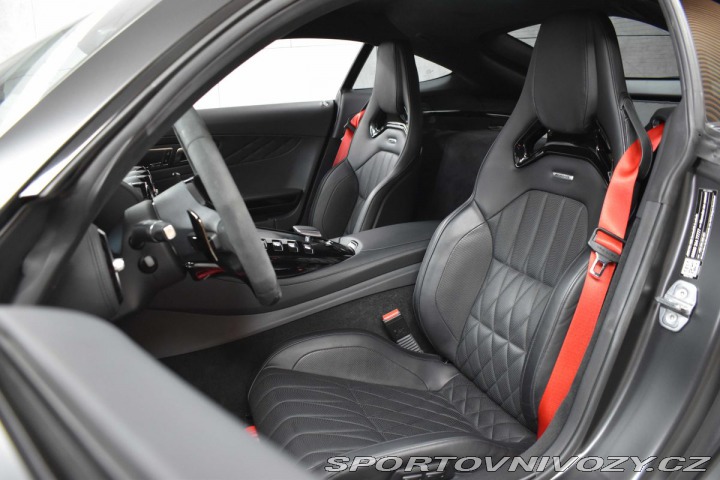 Mercedes-Benz AMG GT 390kW*NIGHT EDITION*PPF*D 2021