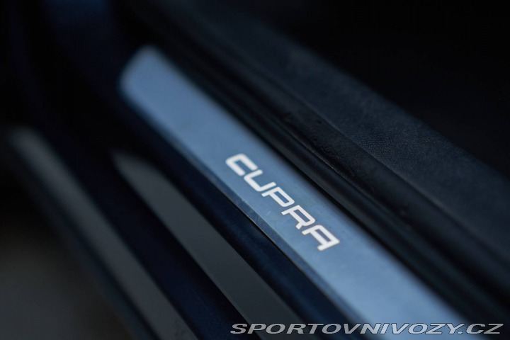 Cupra Formentor 2.0 TDI 150k 4Drive DSG 2023