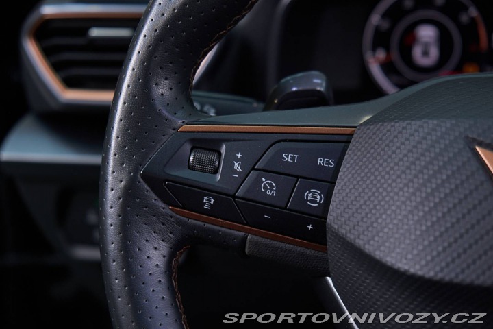 Cupra Formentor 2.0 TDI 150k 4Drive DSG 2023
