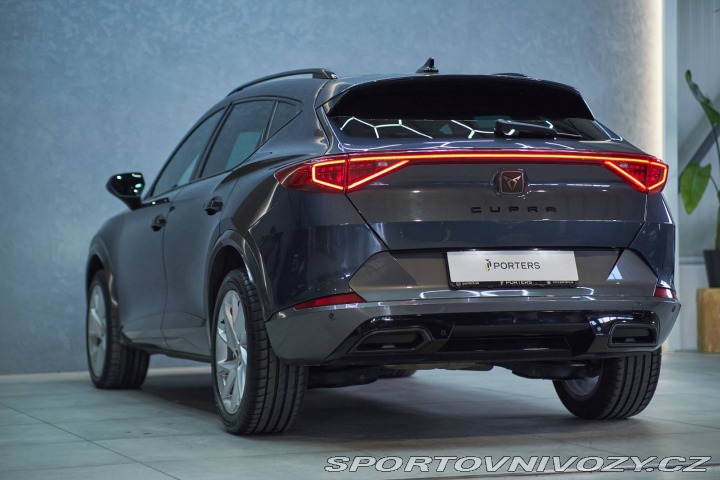 Cupra Formentor 2.0 TDI 150k 4Drive DSG 2023