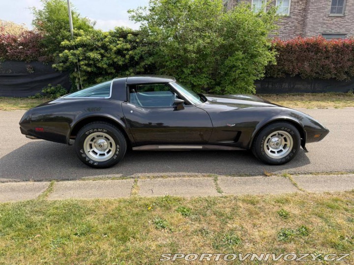 Chevrolet Corvette CORVETTE C3 454 1978