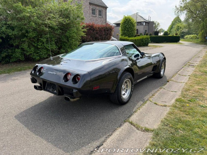 Chevrolet Corvette CORVETTE C3 454 1978