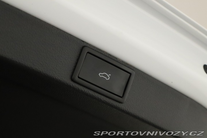 Škoda Octavia RS RS RS 2.0 TSI 2025