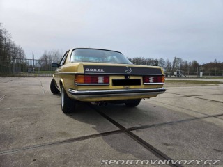 Mercedes-Benz C CE 280 1979