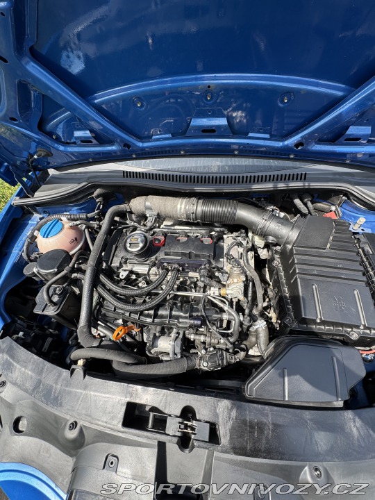 Seat Leon Cupra R/P1 2013