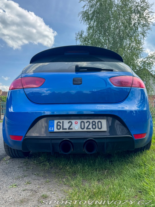 Seat Leon Cupra R/P1 2013