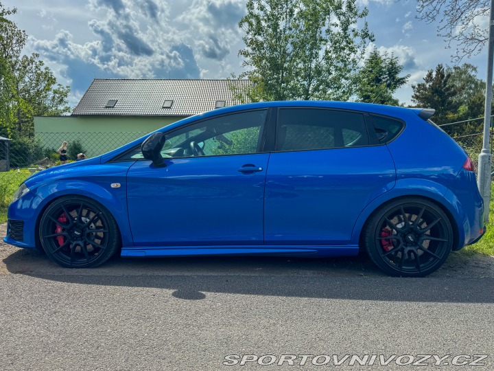 Seat Leon Cupra R/P1 2013