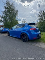 Seat Leon Cupra R/P1 2013